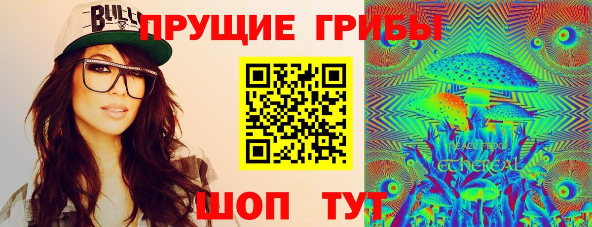 Димитровград  Галлюциногенные грибы Cubensis  Вход с VPN  Псилоцибиновые грибы Psilocybine cubensis 
