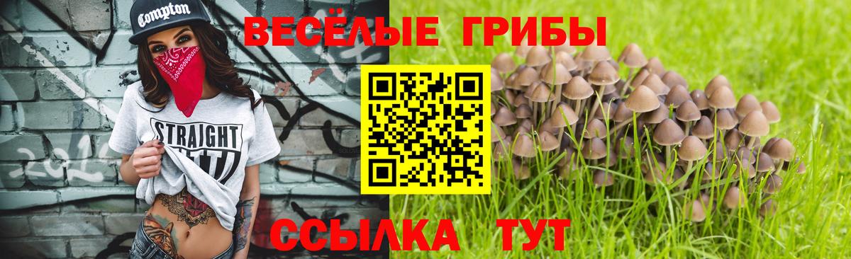 Галлюциногенные грибы прущие грибы Димитровград